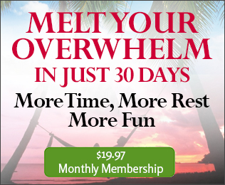 Melt Your Overwhelm in Just 30 Days Gold Membershi image